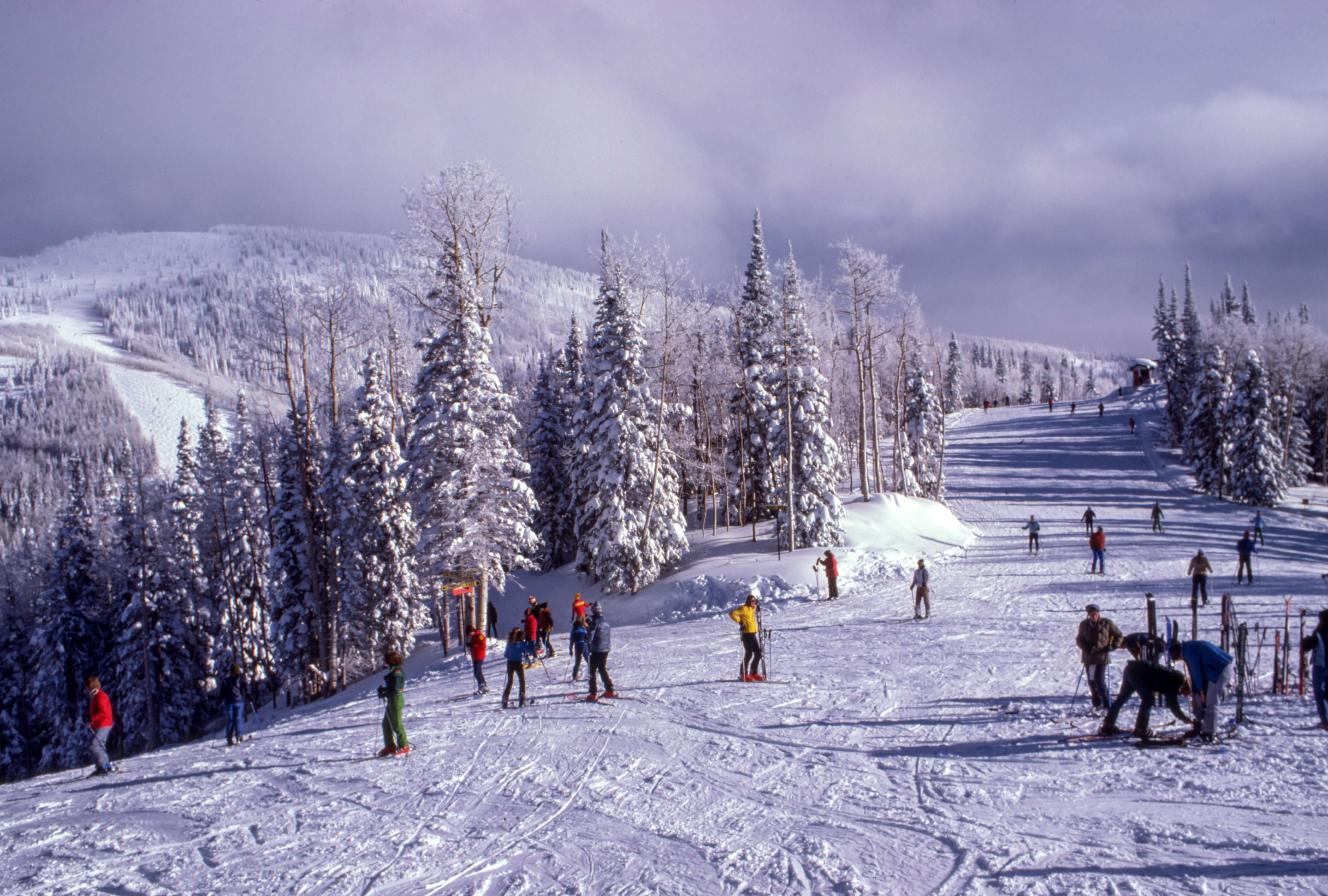 in snowy montain people skiing